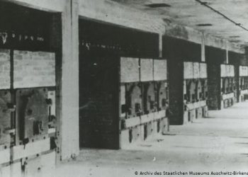 Gazullorët me origjinë nga Puka, ambasadorët e Gjergj Kastriotit dhe Arbërisë 