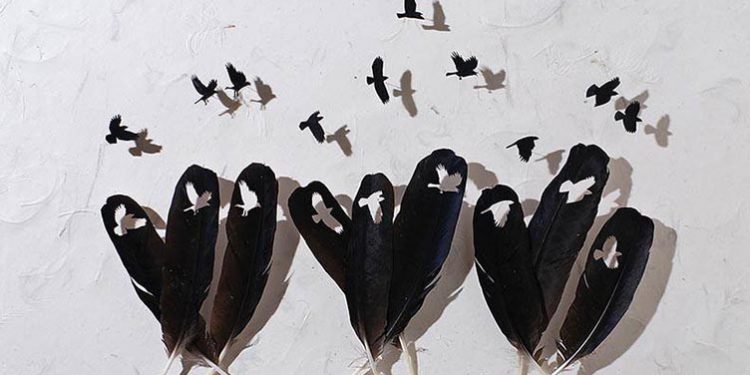 Të bëhesh zog dhe të fluturosh me pendët e zogut të Maynard Chris ‘s