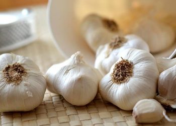 Si i kundërvihet hudhra gjendjes gripale dhe ftohjes? Specifikat kryesore se si ky “antibiotik” natyral vepron