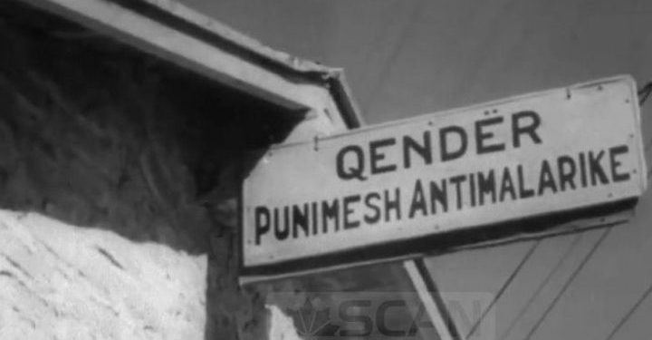 Si e fitoi Shqipëria luftën me malarien! Roli i institutit “Rockefeller” dhe një eksperiment në ultësirën perëndimore