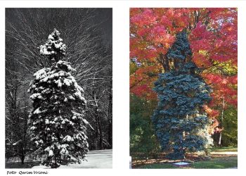 “Le të jemi mirënjohës ndaj njerëzve që na bëjnë të lumtur, ata janë kopshtarët që i bëjnë shpirtin tonë të lulëzojë”