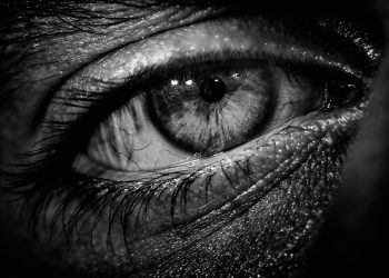 Albert Vataj: Dashuroje diçka që ti dëshiron dhe do të jesh i shpërblyer