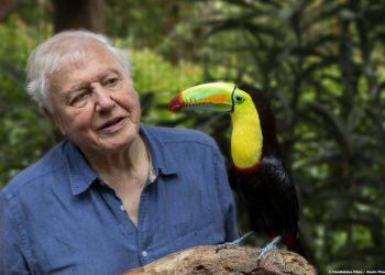 Legjendari i BBC, gazetari Sir David Attenborough: Ju zbulova botën. Tani shpëtojeni atë!