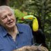 Legjendari i BBC, gazetari Sir David Attenborough: Ju zbulova botën. Tani shpëtojeni atë!