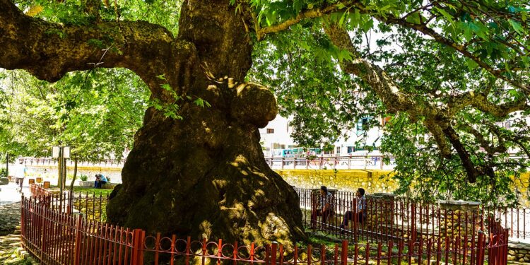 Legjendat dhe ndikimi i tyre në jetën socio-ekonomike, religjioze dhe gjeografike në trojet shqiptare