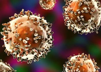 Live Science njofton se shkencëtarët më në fund kanë prova të ekzistencës së qelizave imune misterioze te njerëzit