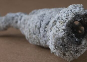 Minerali i ri i mundshëm u zbulua në një copë “rrufe të fosilizuar”, ose fulgurit, që mbeti pas goditjes së një pemë nga rrufeja në Florida