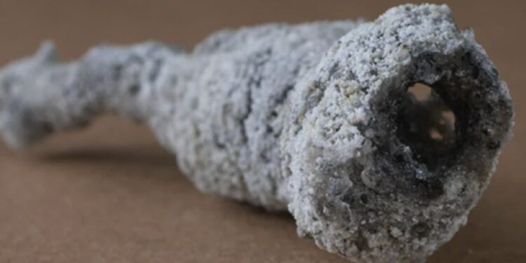 Minerali i ri i mundshëm u zbulua në një copë “rrufe të fosilizuar”, ose fulgurit, që mbeti pas goditjes së një pemë nga rrufeja në Florida