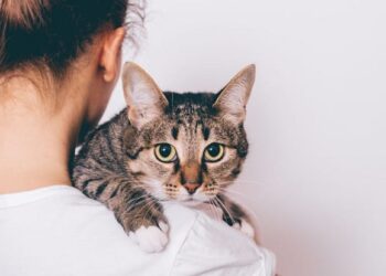 Gratë dhe macet në histori, nga shenjtërimi në Egjypt te mallkimi nga kisha dhe masakrat e “Gjuetis֝ së shtrigave”