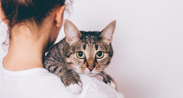 Gratë dhe macet në histori, nga shenjtërimi në Egjypt te mallkimi nga kisha dhe masakrat e “Gjuetis֝ së shtrigave”