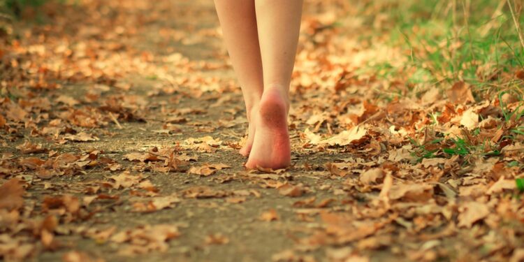 Albert Vataj: Jemi plot vjeshtë e dëshirueshmja ime, veshur me gjethe, kallur në ngjyra, dehur në aroma