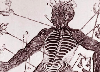 Astrologjia mjekësore në specifikat e strukturës sonë anatomike, trupi dhe horoskopi