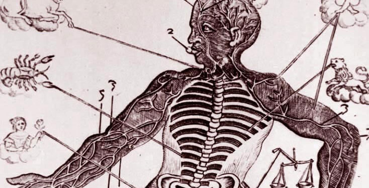 Astrologjia mjekësore në specifikat e strukturës sonë anatomike, trupi dhe horoskopi