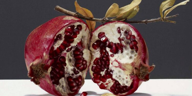 Luciano Ventrone, italiani i jashtëzakonshëm i hiper-realizmit, virtuoziteti mahnitës për të ribërë natyrën