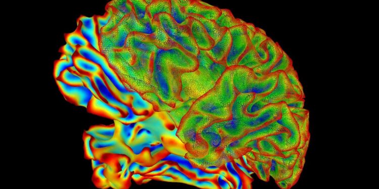 Shtatzënia shkakton ndryshime dramatike në tru, konfirmon studimi publikuar në “Nature Communications”