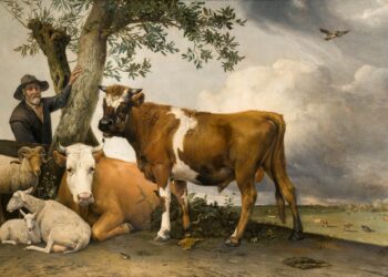 Paulus Potter, i pari prej piktorëve të famshëm që trajtoi kafshët shtëpiake si subjekt kryesor