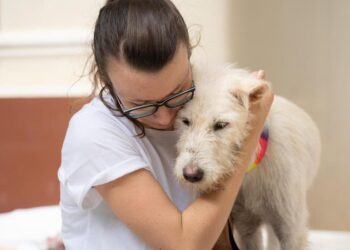 Lamtumira e papërballueshme me një dashuri të përkorë, që ikën për të mbetur përgjithmonë e tillë