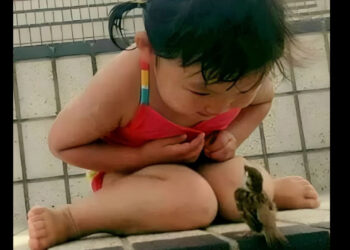 Nevoja për t’u parë thellë, për t’u dëgjuar hështurazi, për t’u ndjerë në një çast shkëndi e shpërthimtë drite