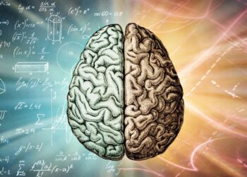 Studimi: “Nëse je kaq i zgjuar, pse nuk je i pasur?!”