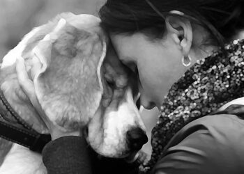 BBC Science: Përjetimi i qenve dhe si e shpjegon shkenca lidhjen tonë të veçantë me ta?!