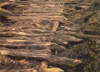 Rruga prej druri që jetoi dhe shërbeu për katër mijëvjeçarë