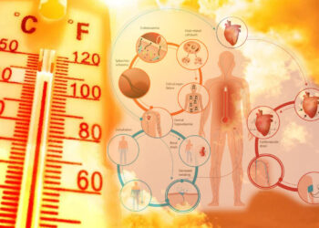 Mostoleranca ndaj ekstremitetit të temperaturave, faktorët fiziologjikë, reagimi i trupit dhe shëndeti