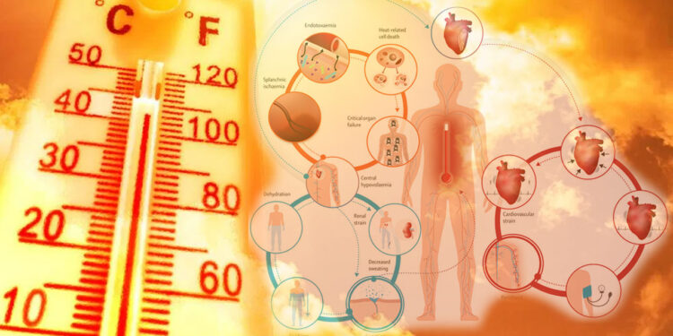 Mostoleranca ndaj ekstremitetit të temperaturave, faktorët fiziologjikë, reagimi i trupit dhe shëndeti
