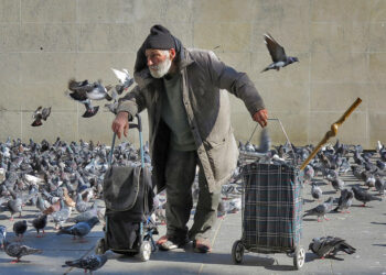 Giuseppe Belvedere, “Shën Françesku” i kohëve moderne, ai që sakrifikoi gjithçka për pëllumbat