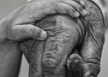 Albert Vataj: Të moshuarit, fëmijët e shenjtërisë së qiellit!