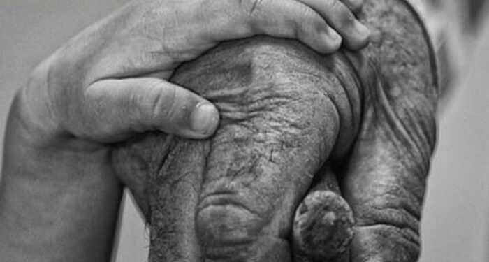 Albert Vataj: Të moshuarit, fëmijët e shenjtërisë së qiellit!