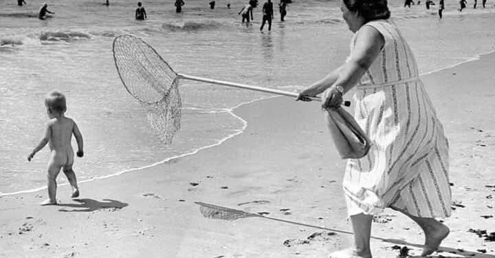 Ai nuk është peshk, por ajo beson se vetëm me rrjetë mund ta zërë