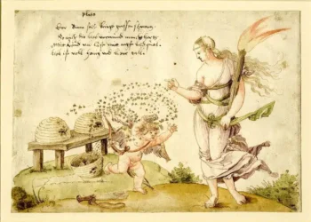 “Mjalti i Çmendur”, nga një substancës halucinogjen dhe afrodiziake te arma e parë biologjike në histori