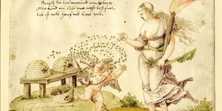 “Mjalti i Çmendur”, nga një substancës halucinogjen dhe afrodiziake te arma e parë biologjike në histori