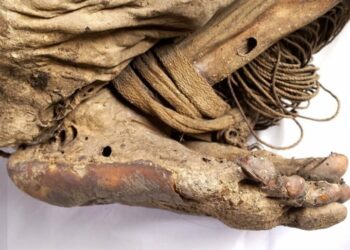 Në udhëtimin e heshtur të përjetësisë, një mumje, një qytetërim i zhdukur dhe thirrja që dëgjohet nga thellësia e kohës