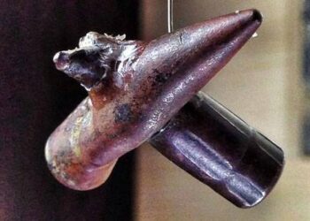 Plumbi që përshkoi plumbin, dëshmia e një shiu zjarri në Betejën e Çanakalas (24 prill – 8 gusht 1915)