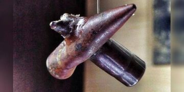 Plumbi që përshkoi plumbin, dëshmia e një shiu zjarri në Betejën e Çanakalas (24 prill – 8 gusht 1915)