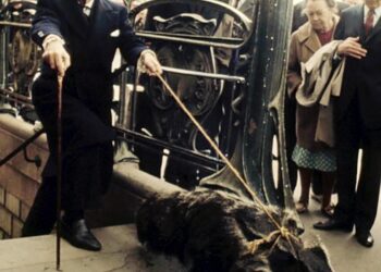 Jemi në Parisin e vitit, 1969. Në një skenë që duket sikur ka dalë nga një pikturë e vetë Dalít, artisti spanjoll shfaqet në një stacion metroje, i veshur me kostum të rregullt, bastun në dorë dhe… një tamarin gjigant të lidhur me litar