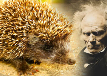 Dilema-e-iriqëve,-parabola-e-trishtuar-e-Shopenhauerit-mbi-lidhjen-njerëzore_Albert-Vataj