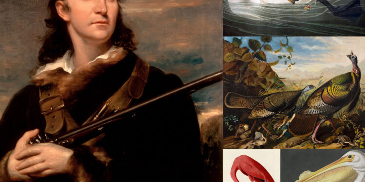 John James Audubon na tregon se sa pak dimë për vullnetin e Fuqisë Hyjnore të botës së kafshëve -Albert Vataj