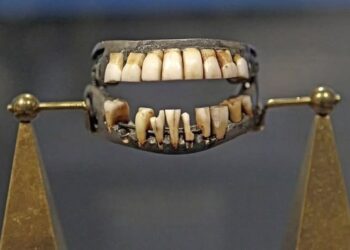 Protezat e Washingtonit, një përzierje e dhimbjes, teknologjisë dhe paradoksit moral_Albert Vataj