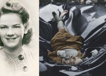 Evelyn McHale, kjo ikonë të bukurisë tragjike, aty ku lamtumira dhe estetika përplasen në një qetësi të ftohtë dhe të përkryer