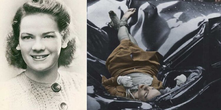 Evelyn McHale, kjo ikonë të bukurisë tragjike, aty ku lamtumira dhe estetika përplasen në një qetësi të ftohtë dhe të përkryer