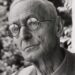 Hermann Hesse: Dashuria është dëshira e urtë, ajo nuk dëshiron asgjë vetëm të dashurojë