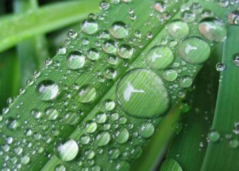 Të dehesh në magjepsjen e një çasti, në madhështinë që natyra fsheh në dukshmërinë e asaj ëndje