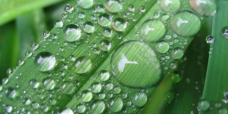 Të dehesh në magjepsjen e një çasti, në madhështinë që natyra fsheh në dukshmërinë e asaj ëndje