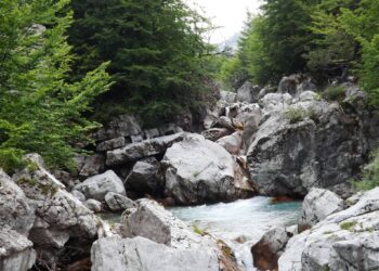 Valbona, e pangjashme me kurrnji harbim tjetër dëshirues