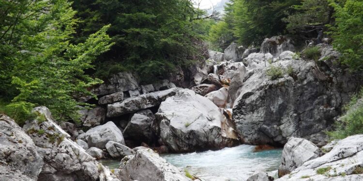Valbona, e pangjashme me kurrnji harbim tjetër dëshirues