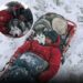 Historia e mbijetesës së alpinistit Grga Brkić dhe “engjëllu kujdestar me qime”, qeni North
