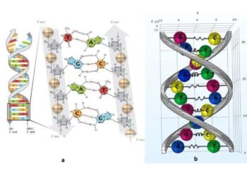 “Efekti i Fantazmës së ADN-së”, kur qënia jonë krijon muzikë, përplasja e shkenctarëve dhe skeptikëve