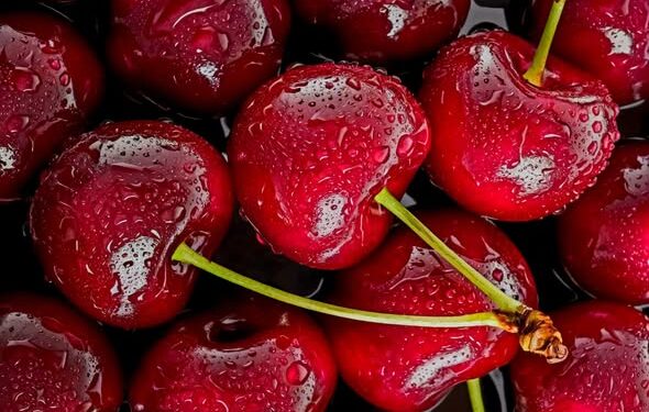 Qershia, e dëshiruemja kuqalashe marroke, e bekuemja ngasëse e natyrës, e freskisë dhe e shijes